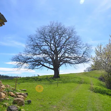 La Maison De Pierre *