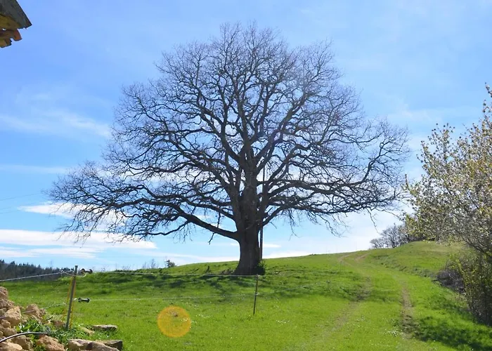 La Maison De Pierre *